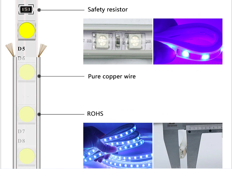 Metro Manguera LED RGB 110V/5050RGB-110V – Mautolite