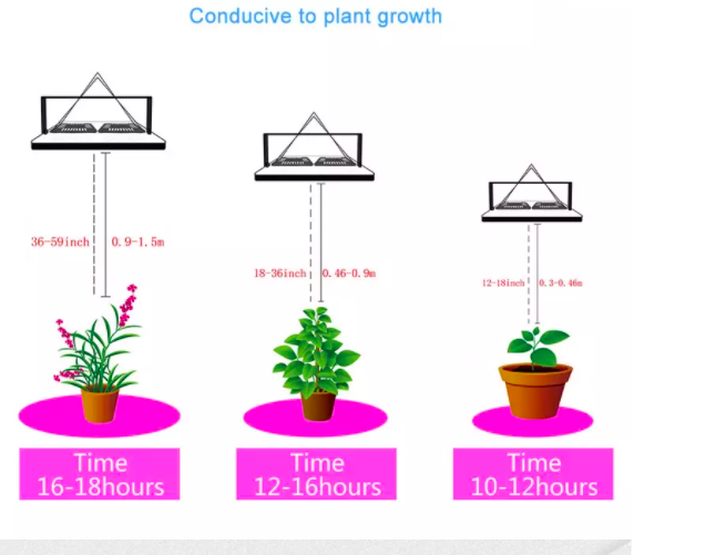 Led para Cultivo (100w) Lámpara de Cultivo Interior