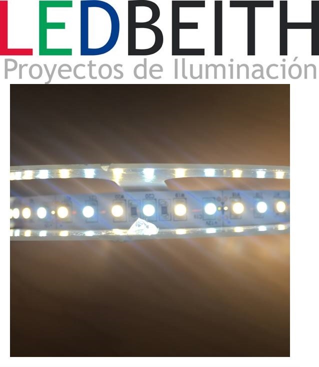 Tira de 600 Led 3528 Blanco Dual Interior Con Controlador 