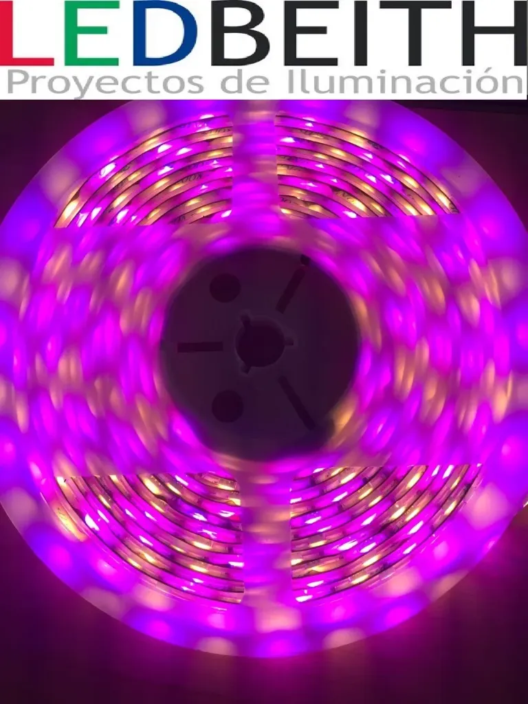 Tira LED SMD5050, RGB+W, DC12V, 5m (60Led/m) - IP66