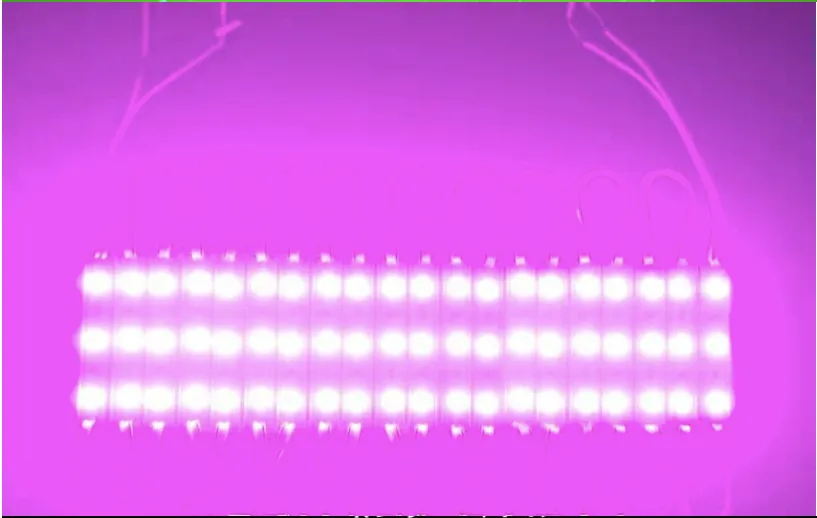 Módulo Led, 3x1SMD5054, 0,72W, IP65, Rosa