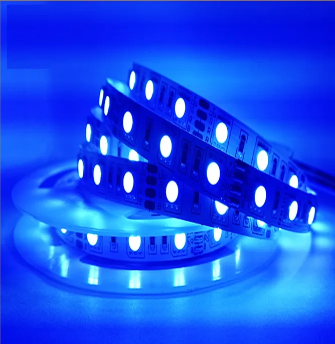 Tira LED SMD5050, DC12V, 5m (60 Led/m) - IP33 - Azu