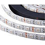 Tira LED SMD5050, DC12V, 5m (60 Led/m) - IP65, UV 395NM