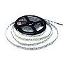 TIRA LED SMD5050, DC24V,Blanco Frío 5M-60 L/M - IP33